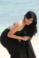 Samantha Black Saree Photos